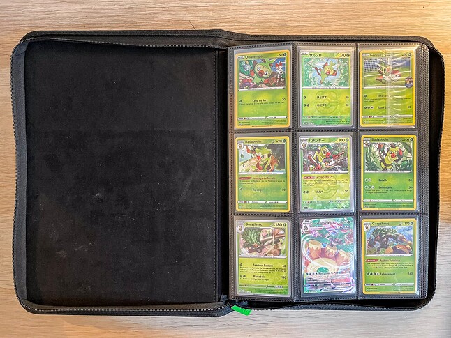 Gen 8 Pokedex-1