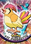 #17 Pidgeotto