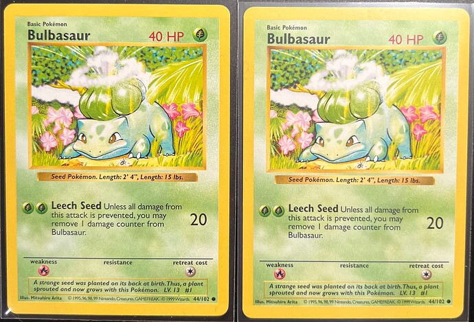 Bulbasaur sunbeam 2 raw copies