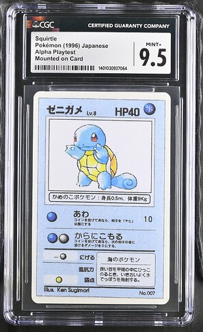 7_Squirtle