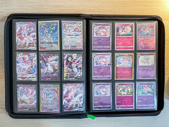 Gen 6 Pokedex Binder-11