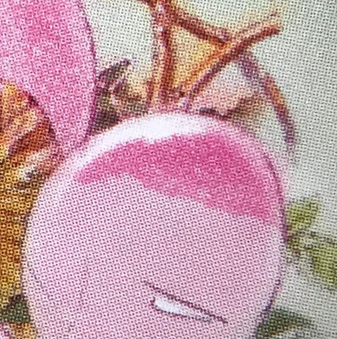 exeggcute closeup 3