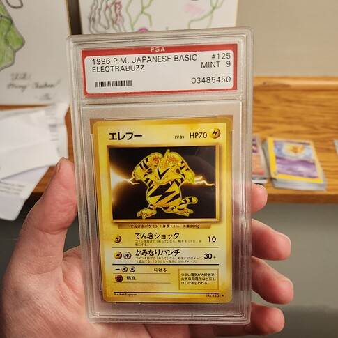 17628244929613330875872781222165