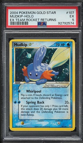mudkip1