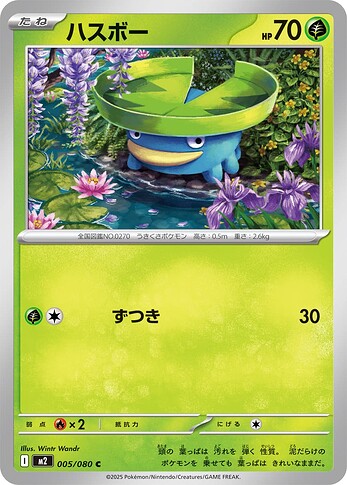 M2 005:080 Lotad