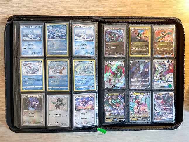 Gen 6 Pokedex Binder-15