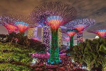 Singapore's Supertree Grove in Lights