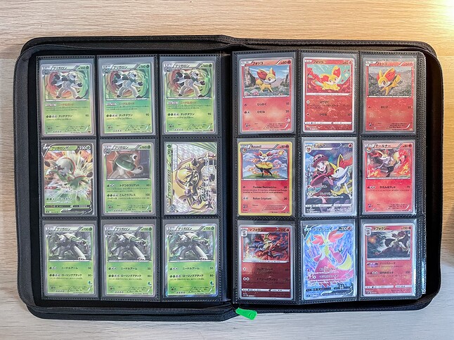 Gen 6 Pokedex Binder-2