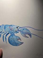 attempted-to-watercolor-paint-a-blue-lobster-v0-6y3tjjvz0y9b1