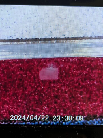 PXL_20250331_151007186