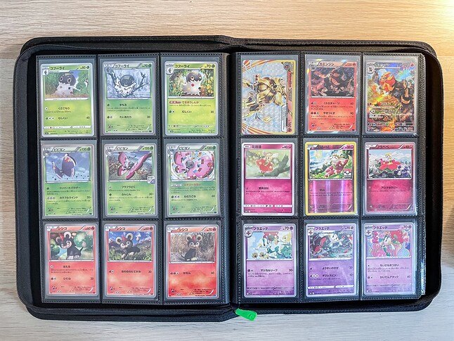 Gen 6 Pokedex Binder-5