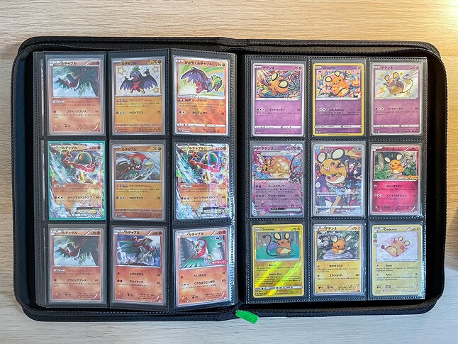 Gen 6 Pokedex Binder-12