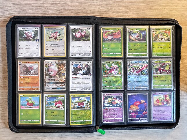Gen 7 Pokedex Binder-8