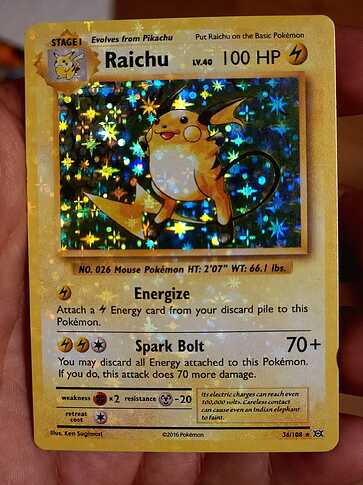 XY evo holo bleed Raichu