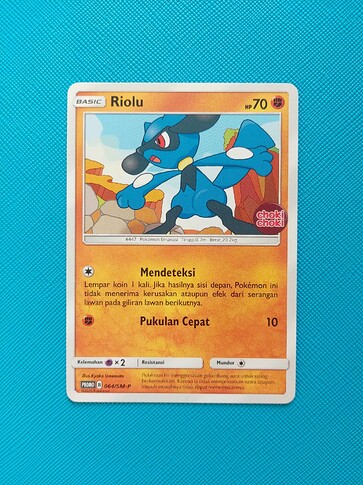 Riolu 064 SMP Indonesian
