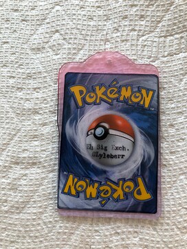 Resin tag (29)