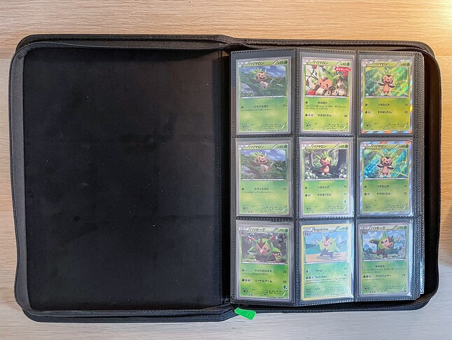 Gen 6 Pokedex Binder-1