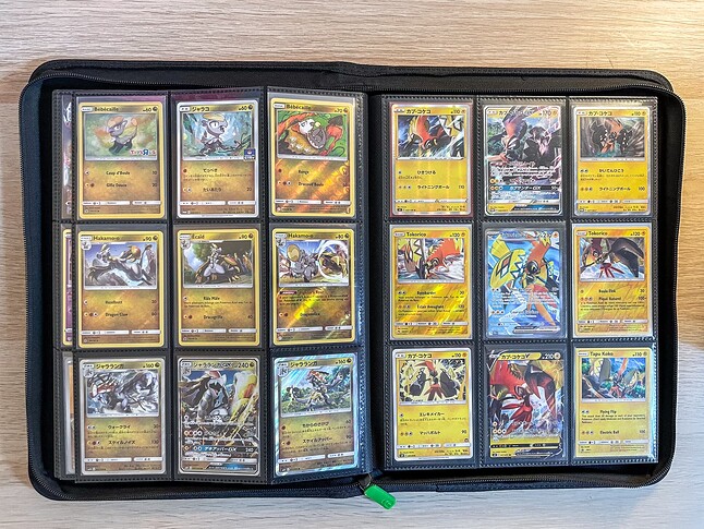 Gen 7 Pokedex Binder-12
