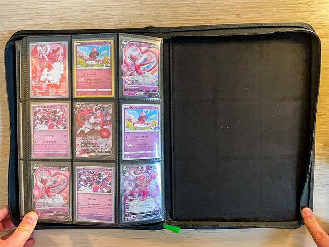 Gen 8 Pokedex-21