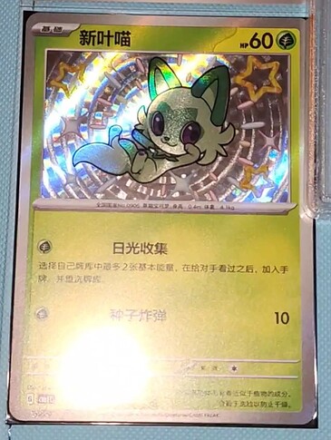 Snapchat-1317170594(1)