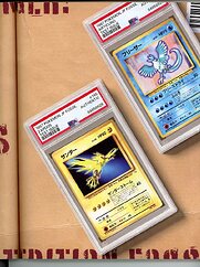 tmb_bird_magazine_1073