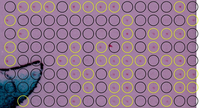 Dot pattern