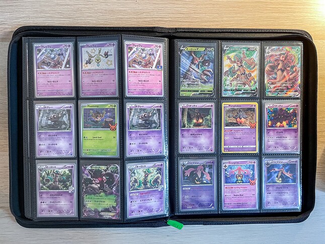 Gen 6 Pokedex Binder-14