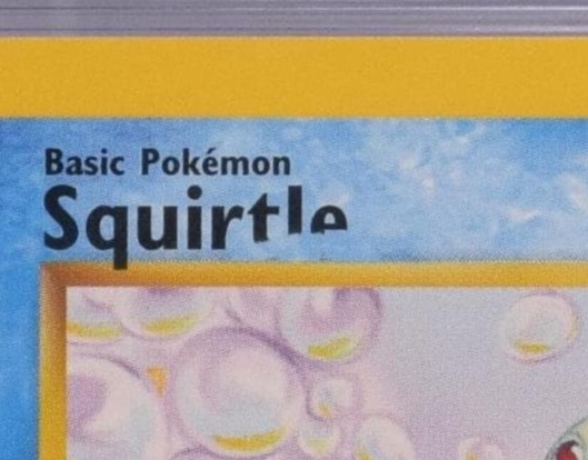 Squirtle name closeup