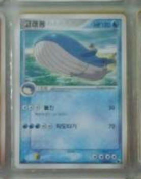 Wailord ADV