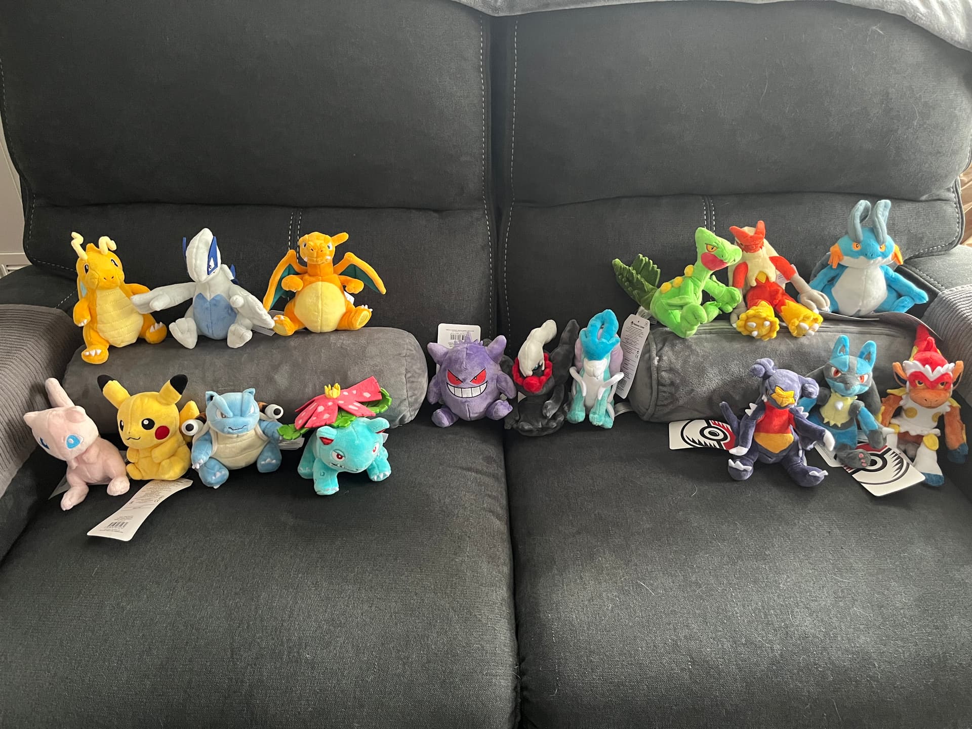 Let s see those Pok mon plush collections Collecting Elite Fourum