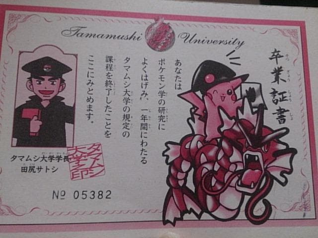 Tamamushi University Certificate feat Gyarados & PIkachu in Red Ink